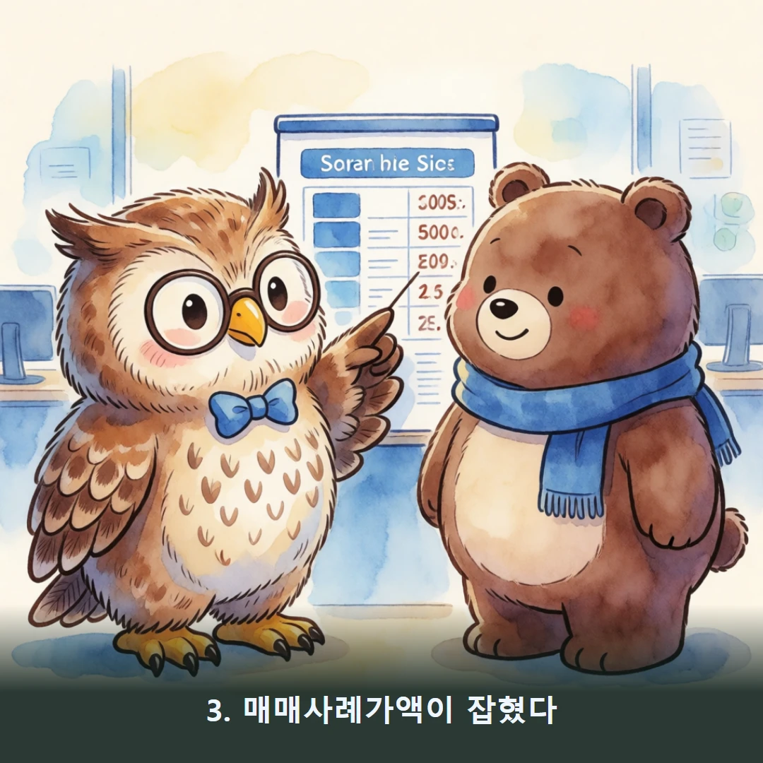 웹툰 3컷 — 3. 매매사례가액이 잡혔다
