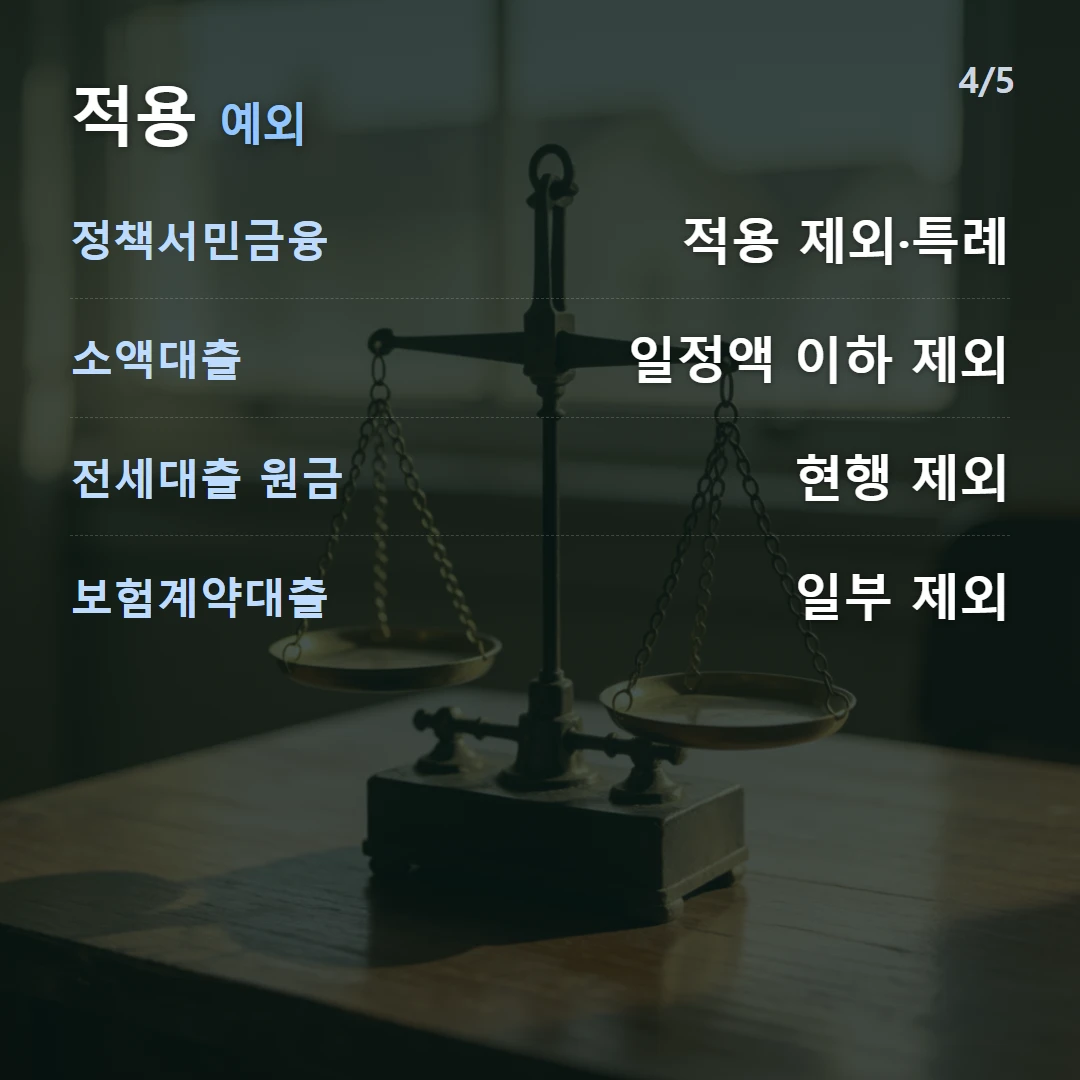 적용 예외 — 정책서민금융 적용 제외·특례, 소액대출 일정액 이하 제외, 전세대출 원금 현행 제외, 보험계약대출 일부 제외