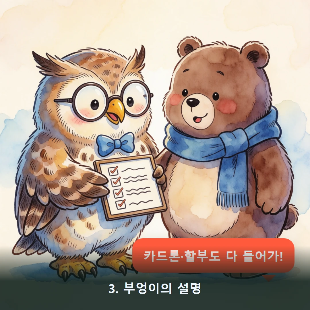 웹툰 3컷 — 3. 부엉이의 설명 (카드론·할부도 다 들어가!)