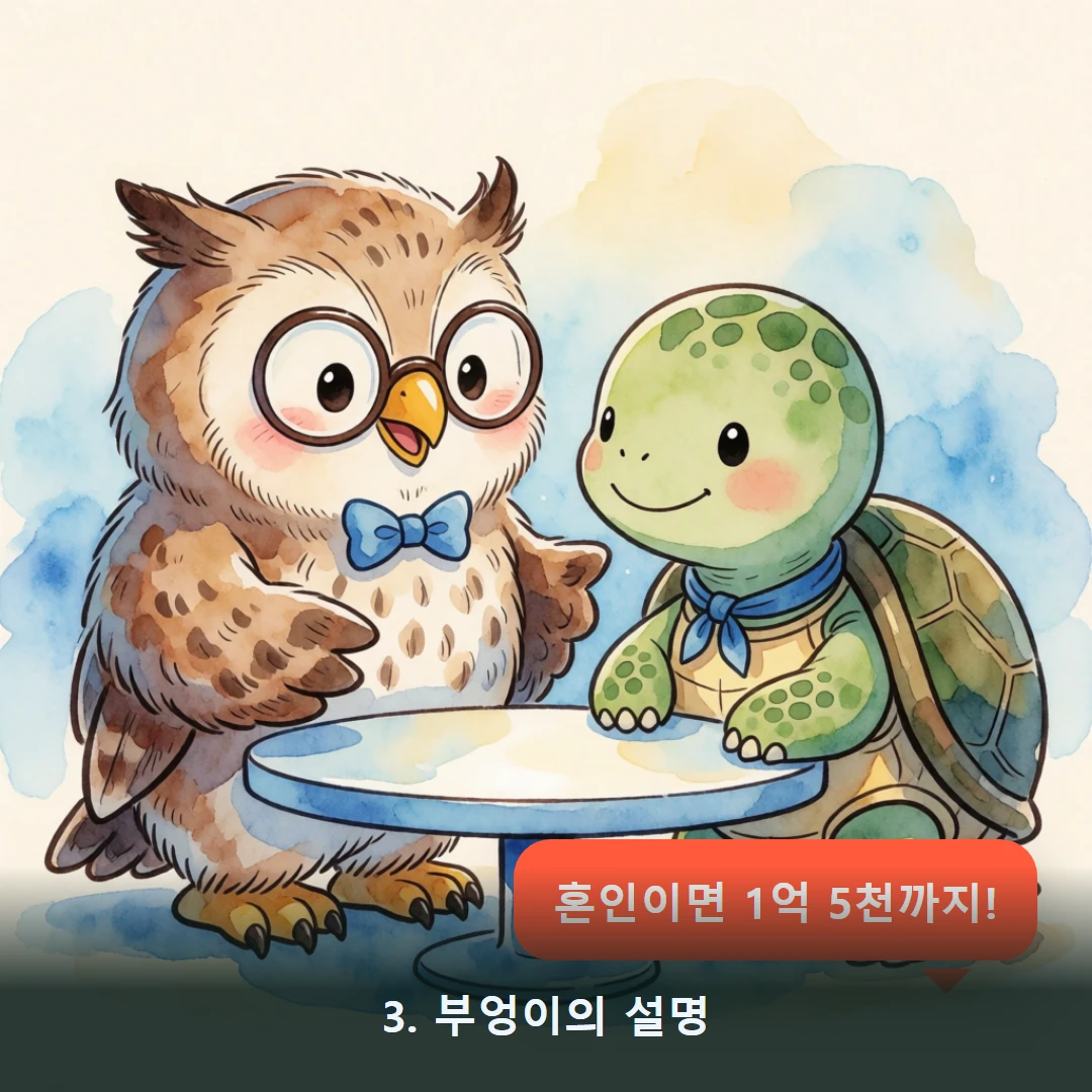 웹툰 3컷 — 3. 부엉이의 설명 (혼인이면 1억 5천까지!)