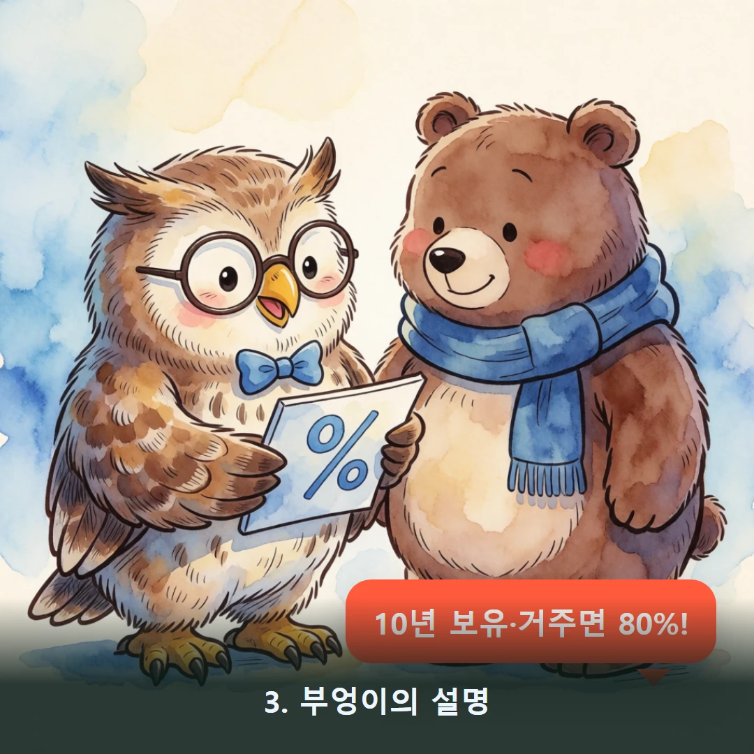 웹툰 3컷 — 3. 부엉이의 설명 (10년 보유·거주면 80%!)