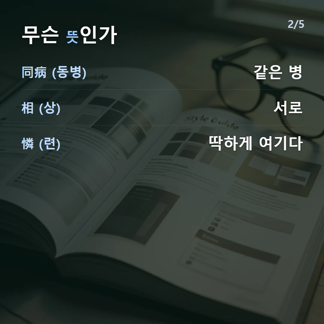 무슨 뜻인가 — 同病 (동병) 같은 병, 相 (상) 서로, 憐 (련) 딱하게 여기다