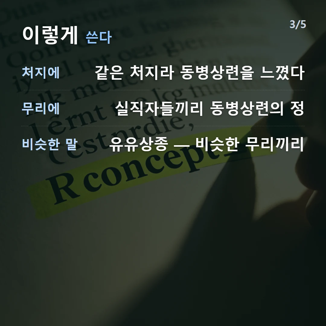 이렇게 쓴다 — 처지에 같은 처지라 동병상련을 느꼈다, 무리에 실직자들끼리 동병상련의 정, 비슷한 말 유유상종 — 비슷한 무리끼리