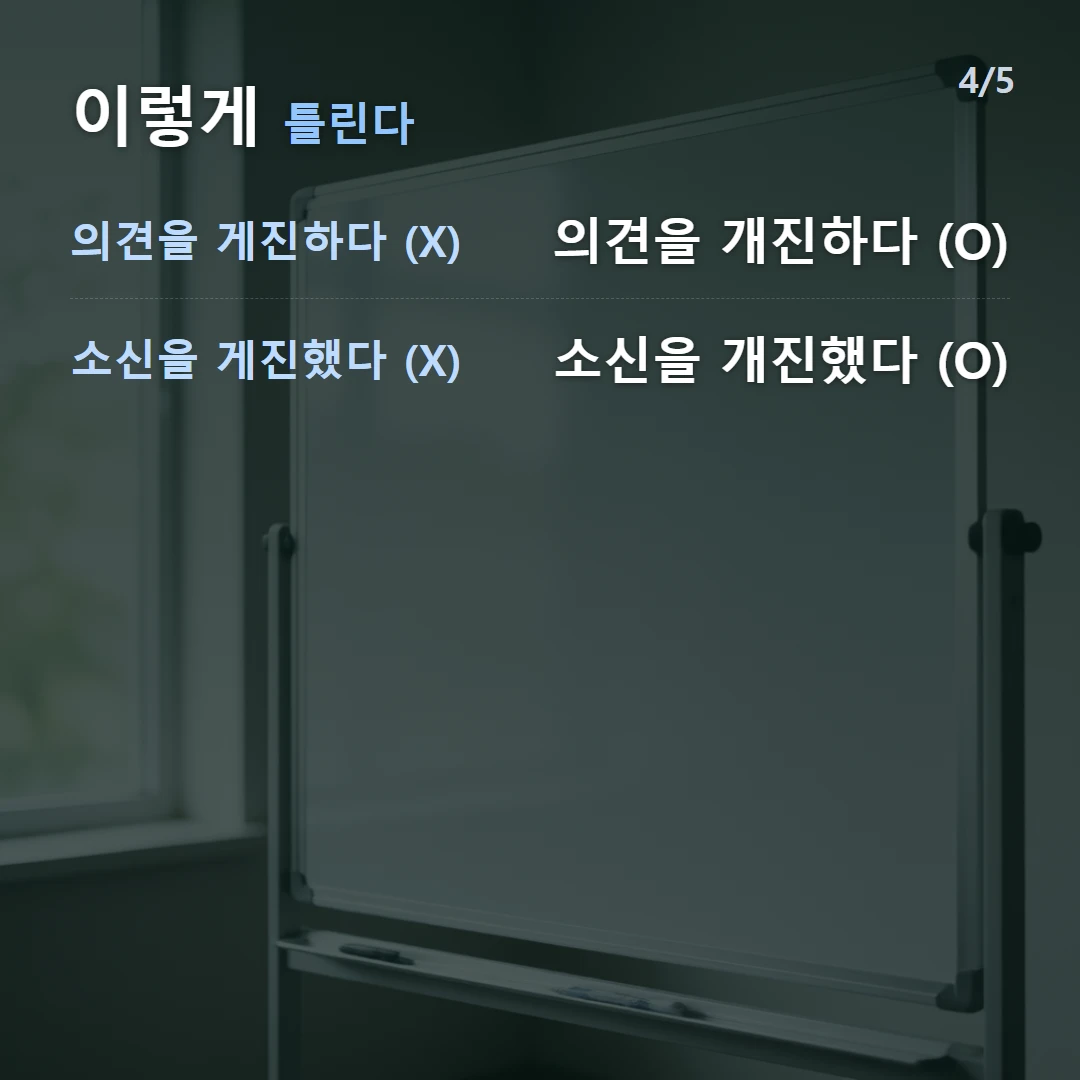 이렇게 틀린다 — 의견을 게진하다 (X) 의견을 개진하다 (O), 소신을 게진했다 (X) 소신을 개진했다 (O)