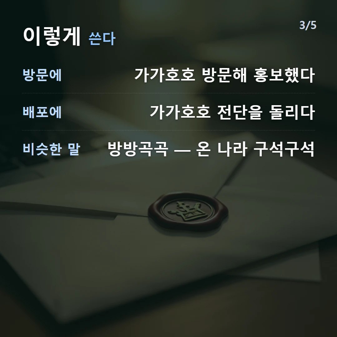 이렇게 쓴다 — 방문에 가가호호 방문해 홍보했다, 배포에 가가호호 전단을 돌리다, 비슷한 말 방방곡곡 — 온 나라 구석구석