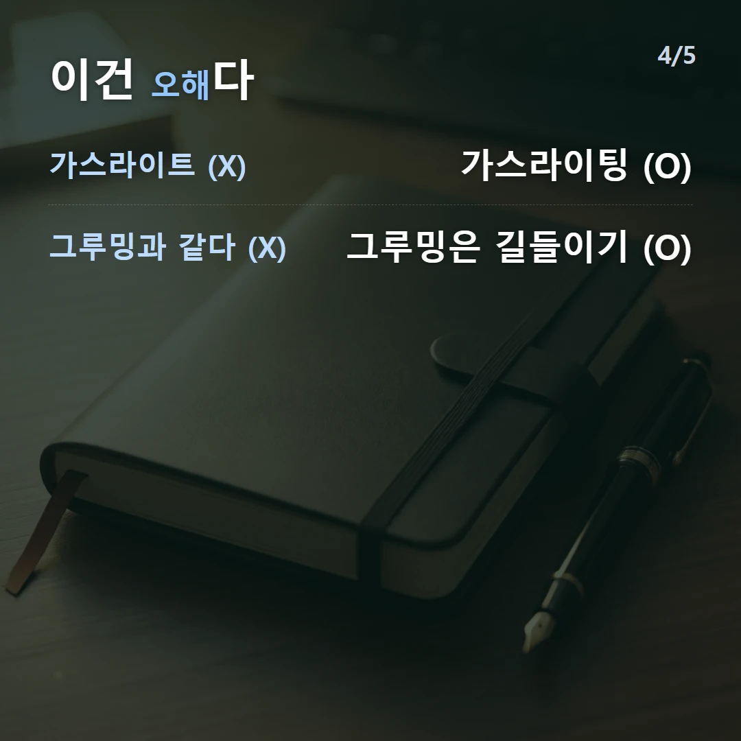 이건 오해다 — 가스라이트 (X) 가스라이팅 (O), 그루밍과 같다 (X) 그루밍은 길들이기 (O)