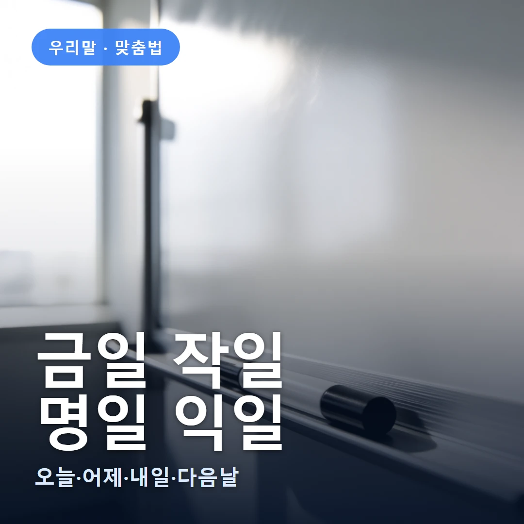 금일 작일 요약 표지 — 오늘·어제·내일·다음날