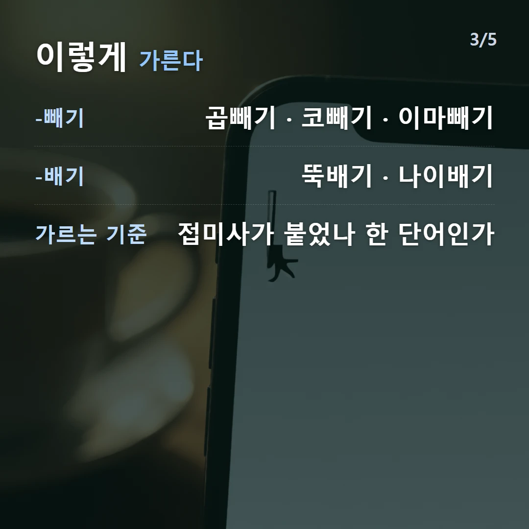 이렇게 가른다 — -빼기 곱빼기 · 코빼기 · 이마빼기, -배기 뚝배기 · 나이배기, 가르는 기준 접미사가 붙었나 한 단어인가