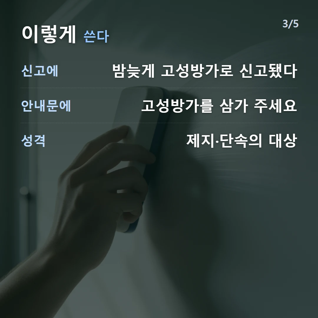 이렇게 쓴다 — 신고에 밤늦게 고성방가로 신고됐다, 안내문에 고성방가를 삼가 주세요, 성격 제지·단속의 대상
