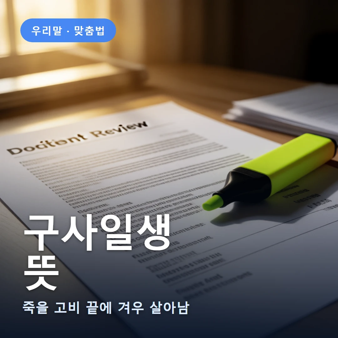 구사일생 요약 표지 — 죽을 고비 끝에 겨우 살아남