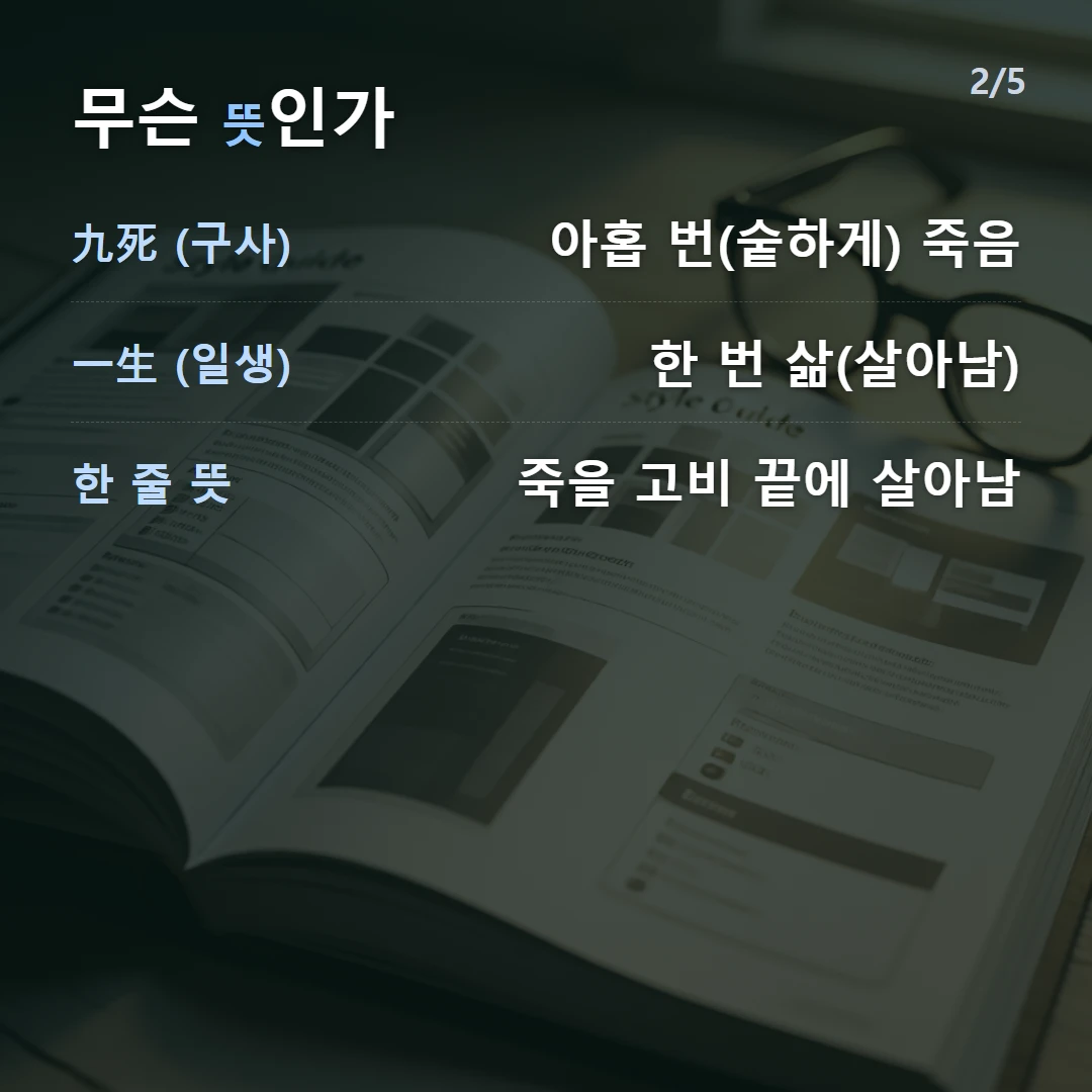 무슨 뜻인가 — 九死 (구사) 아홉 번(숱하게) 죽음, 一生 (일생) 한 번 삶(살아남), 한 줄 뜻 죽을 고비 끝에 살아남
