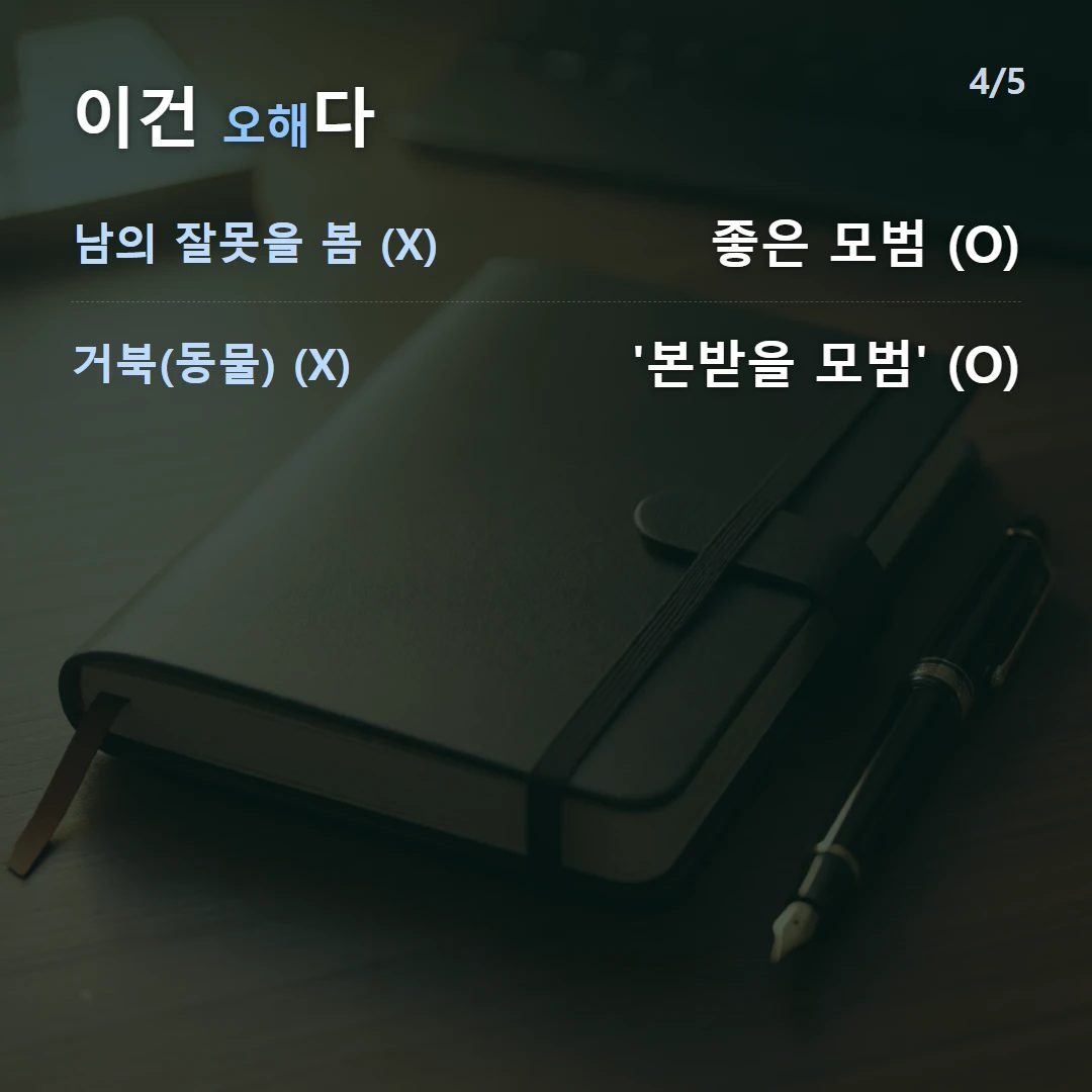 이건 오해다 — 남의 잘못을 봄 (X) 좋은 모범 (O), 거북(동물) (X) '본받을 모범' (O)