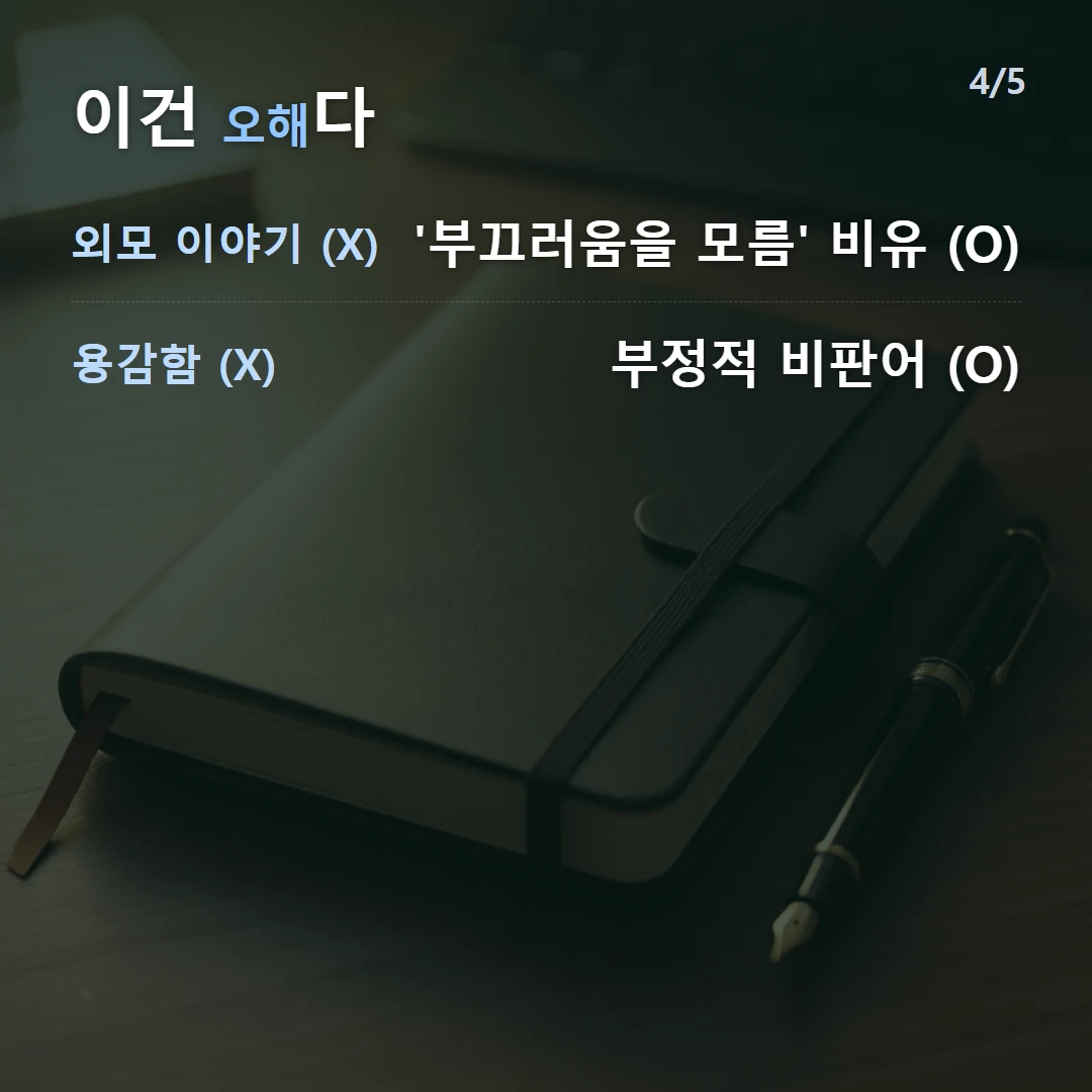 이건 오해다 — 외모 이야기 (X) '부끄러움을 모름' 비유 (O), 용감함 (X) 부정적 비판어 (O)