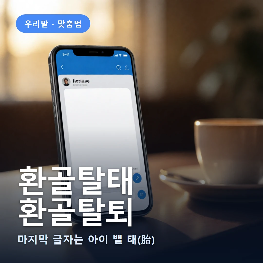 환골탈태 요약 표지 — 마지막 글자는 아이 밸 태(胎)