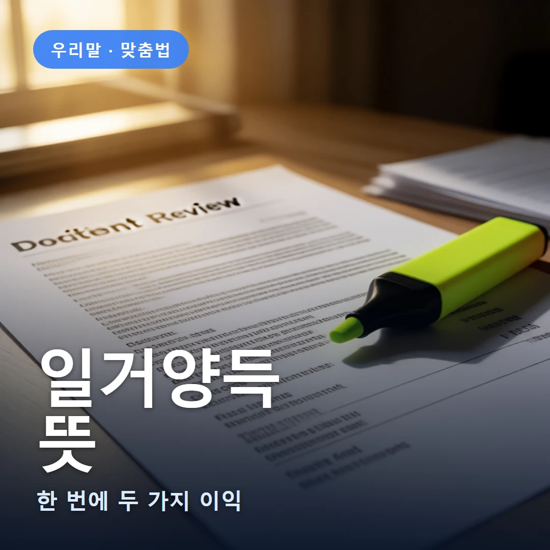 일거양득 요약 표지 — 한 번에 두 가지 이익