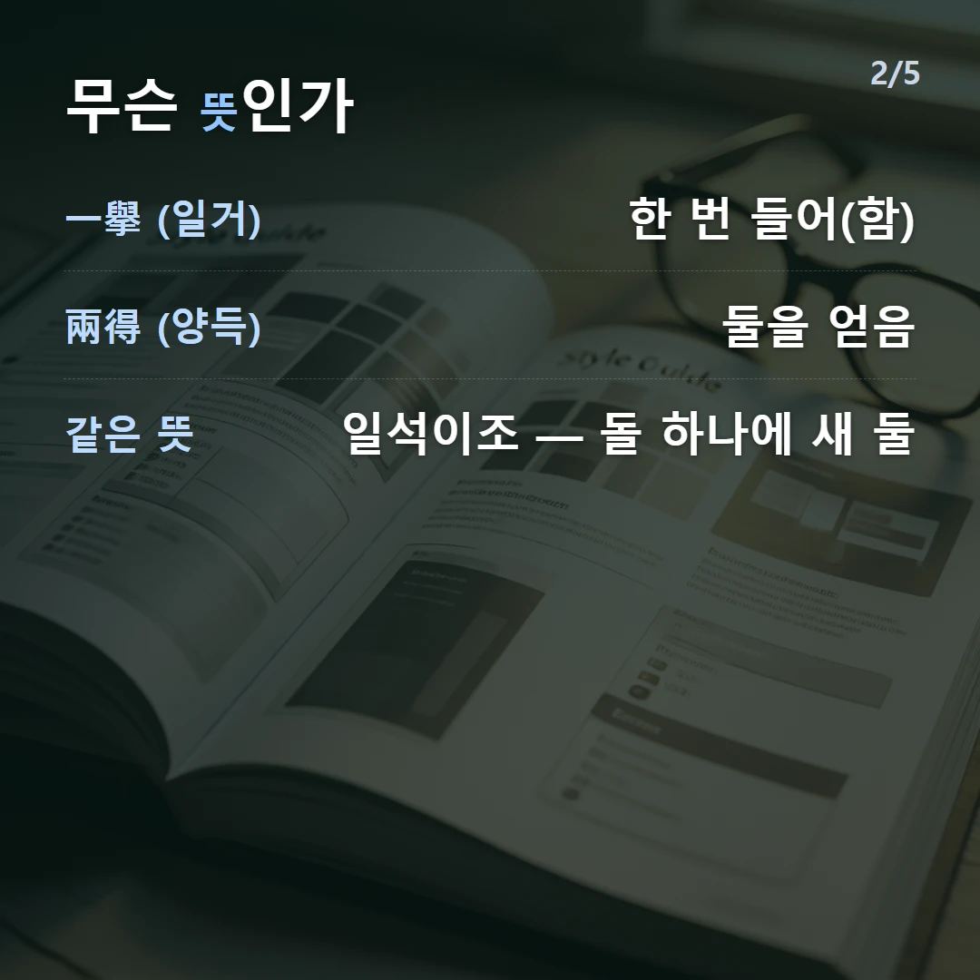 무슨 뜻인가 — 一擧 (일거) 한 번 들어(함), 兩得 (양득) 둘을 얻음, 같은 뜻 일석이조 — 돌 하나에 새 둘