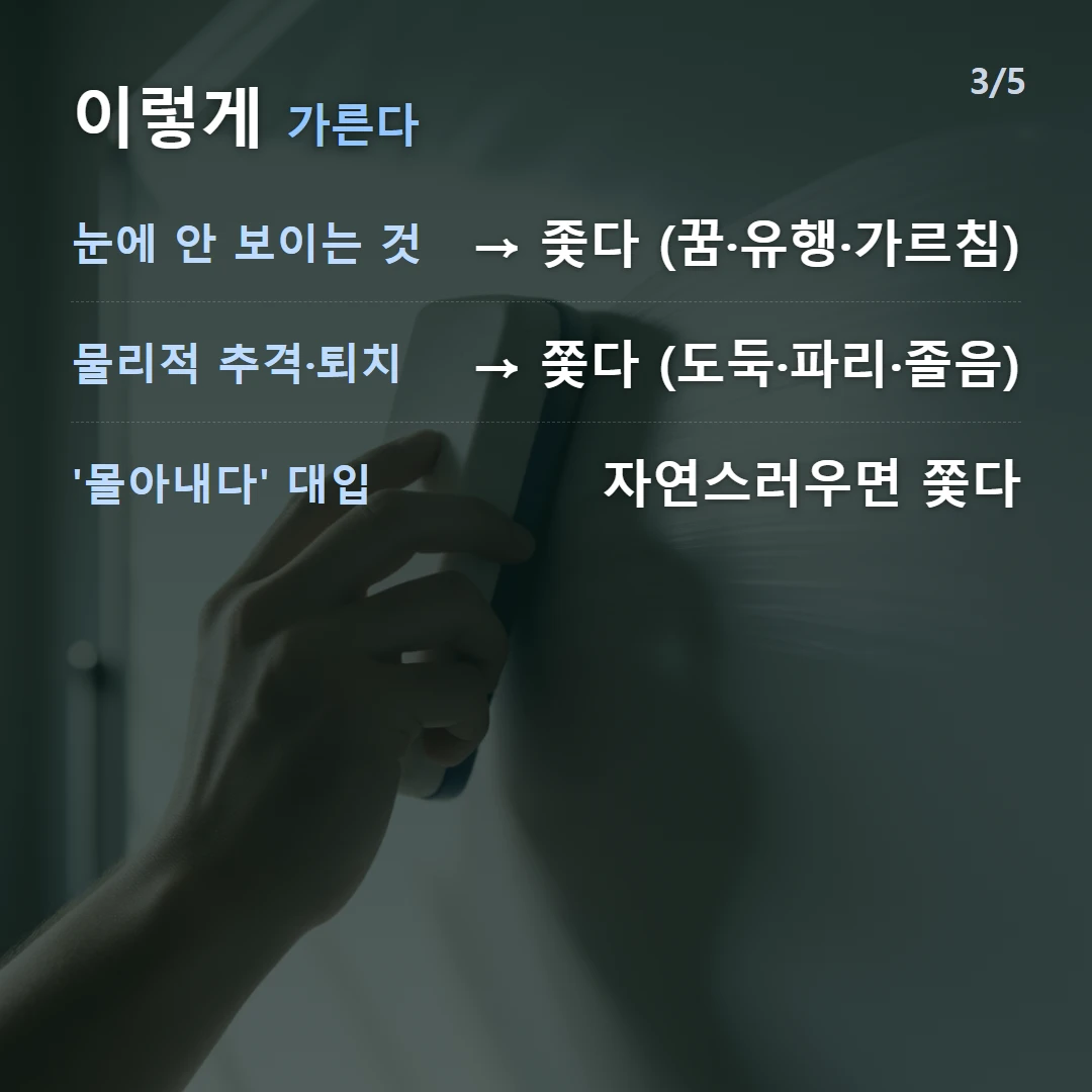 이렇게 가른다 — 눈에 안 보이는 것 → 좇다 (꿈·유행·가르침), 물리적 추격·퇴치 → 쫓다 (도둑·파리·졸음), '몰아내다' 대입 자연스러우면 쫓다