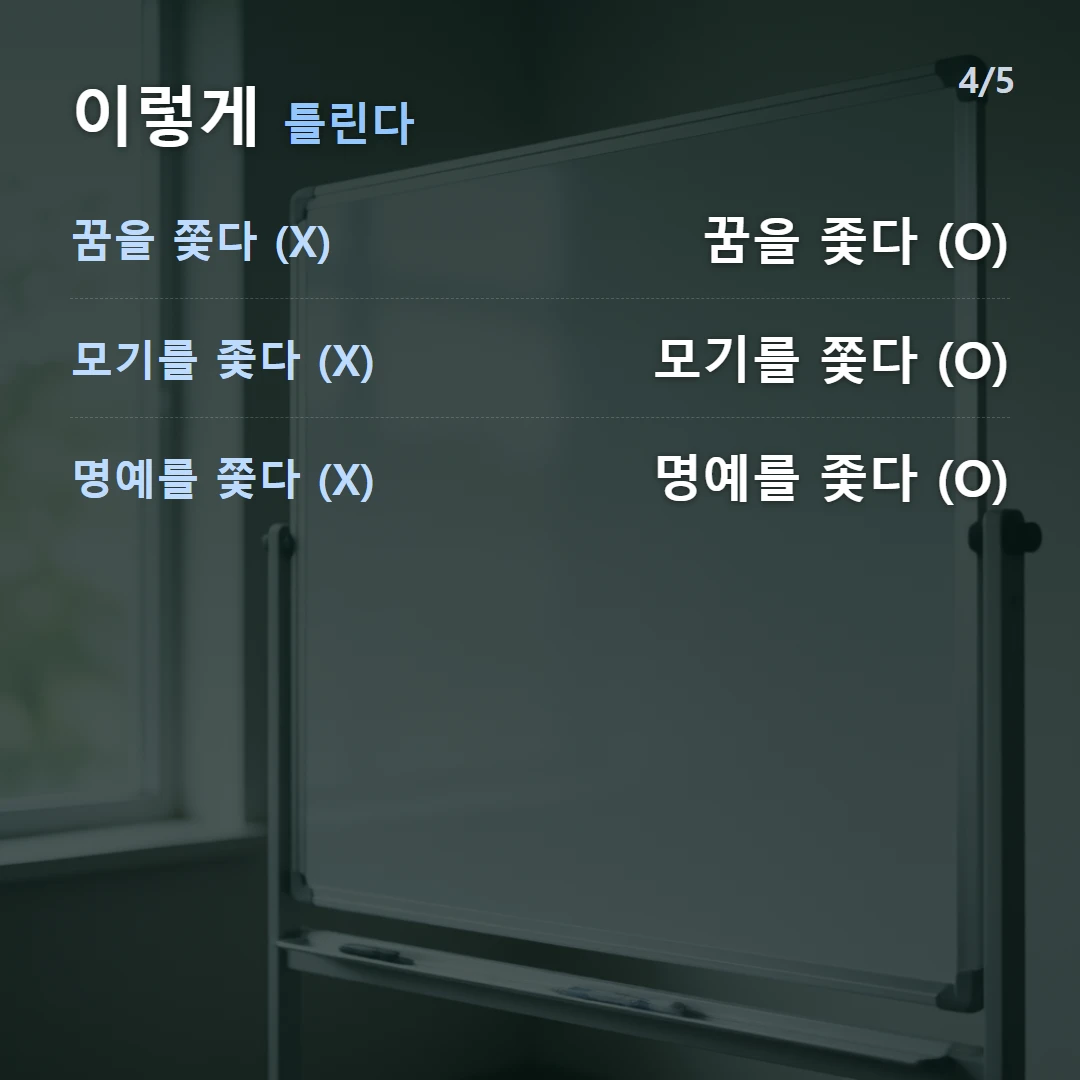 이렇게 틀린다 — 꿈을 쫓다 (X) 꿈을 좇다 (O), 모기를 좇다 (X) 모기를 쫓다 (O), 명예를 쫓다 (X) 명예를 좇다 (O)