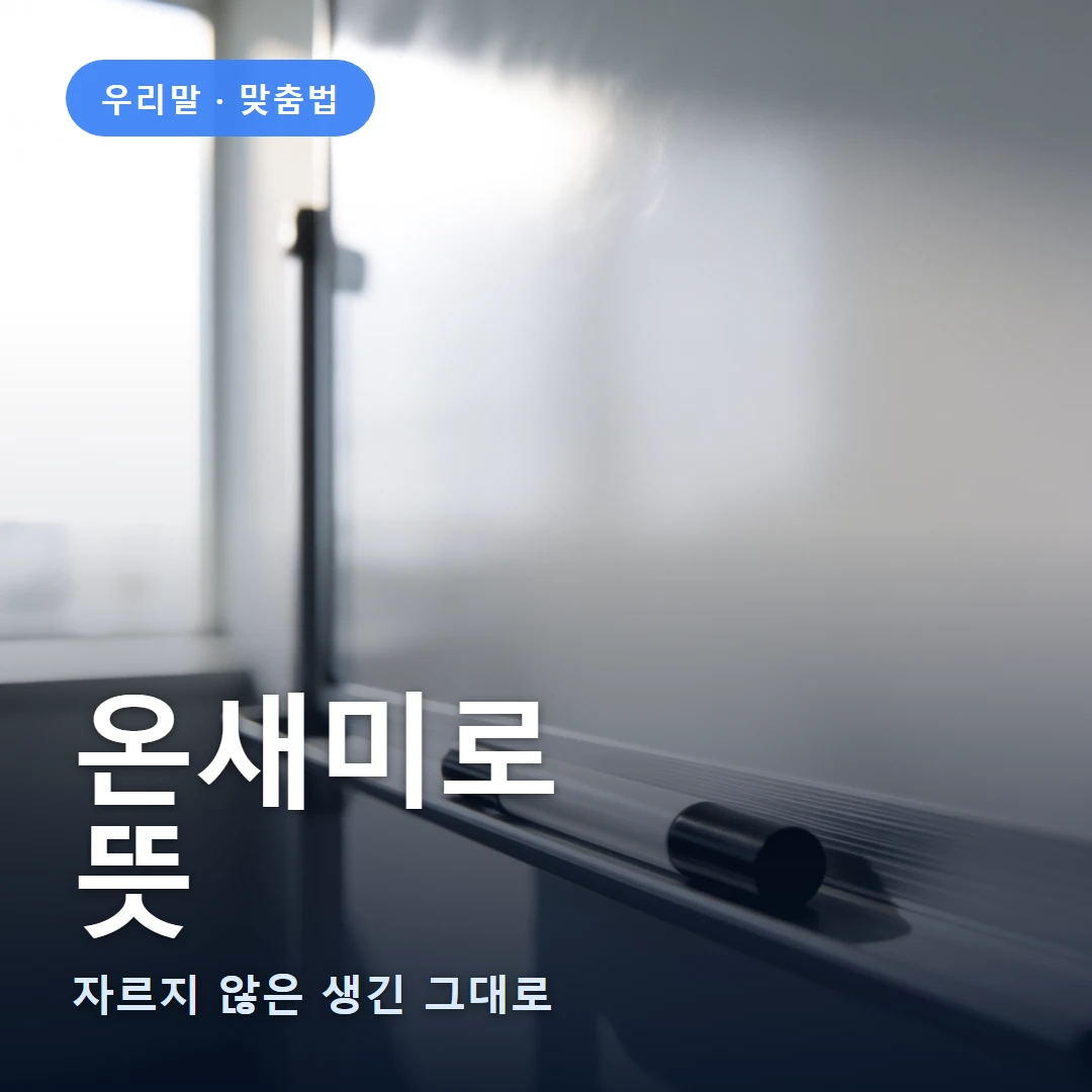 온새미로 요약 표지 — 자르지 않은 생긴 그대로