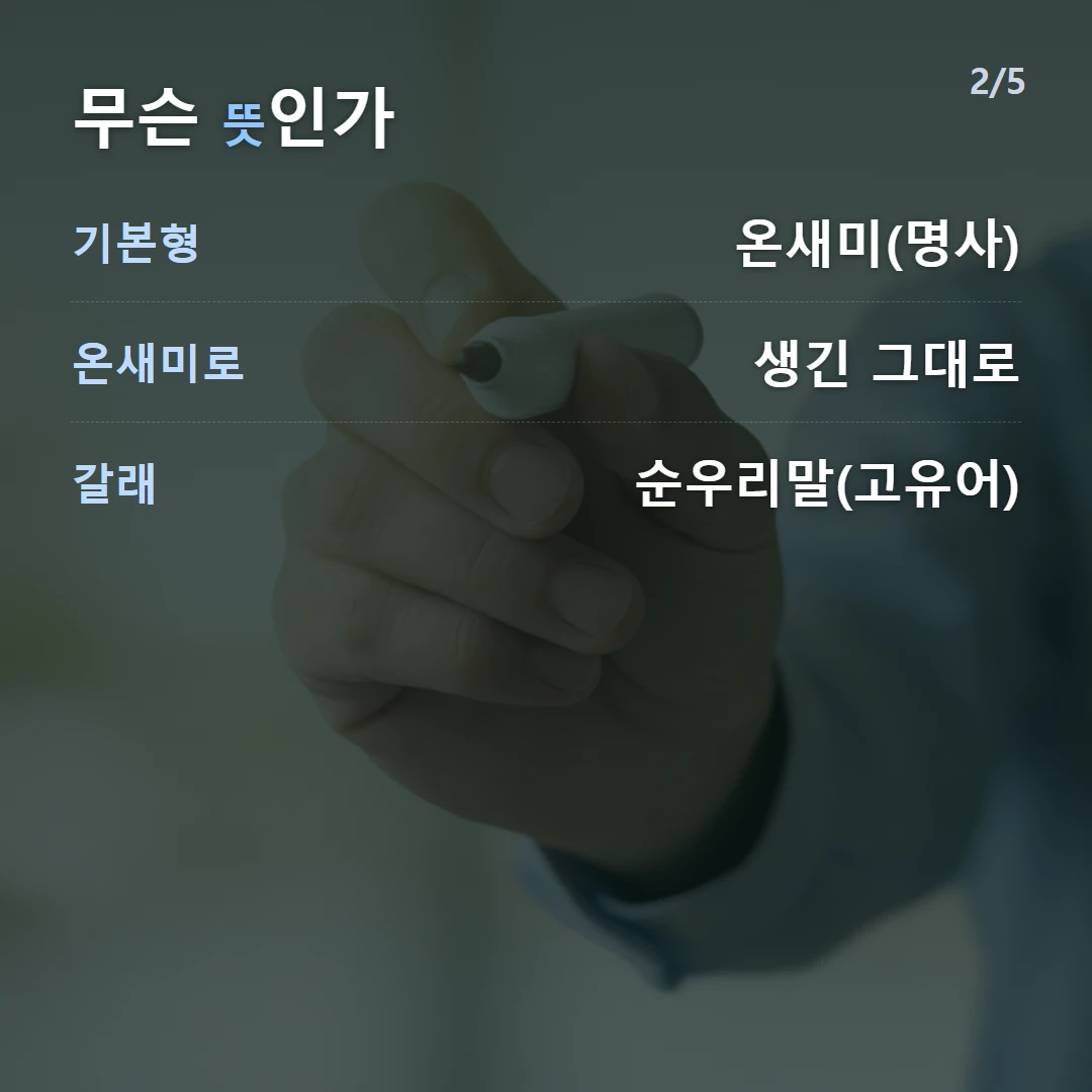 무슨 뜻인가 — 기본형 온새미(명사), 온새미로 생긴 그대로, 갈래 순우리말(고유어)
