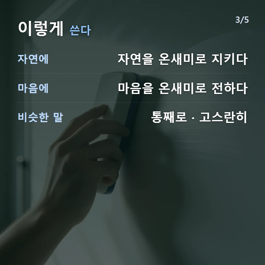 이렇게 쓴다 — 자연에 자연을 온새미로 지키다, 마음에 마음을 온새미로 전하다, 비슷한 말 통째로 · 고스란히