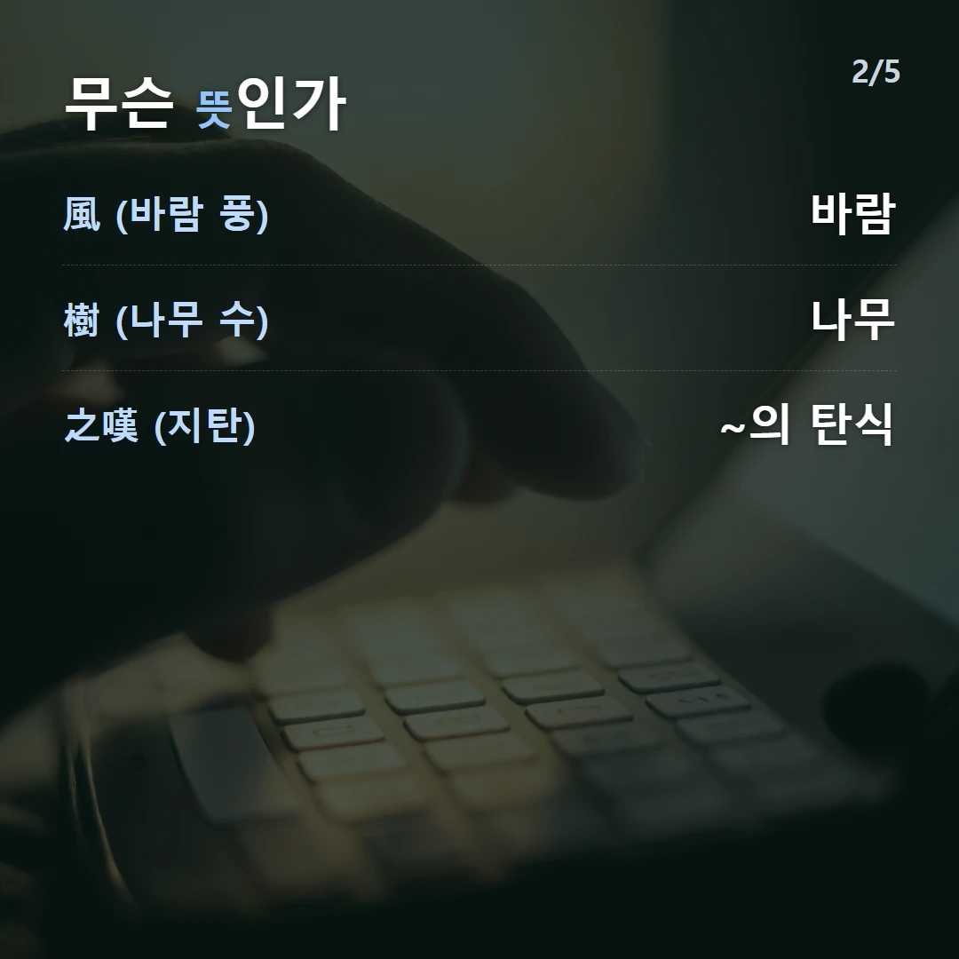 무슨 뜻인가 — 風 (바람 풍) 바람, 樹 (나무 수) 나무, 之嘆 (지탄) ~의 탄식