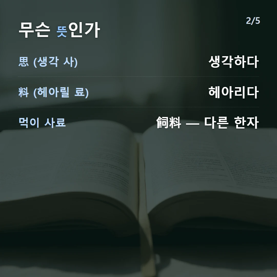 무슨 뜻인가 — 思 (생각 사) 생각하다, 料 (헤아릴 료) 헤아리다, 먹이 사료 飼料 — 다른 한자