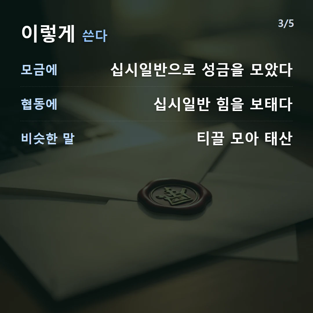 이렇게 쓴다 — 모금에 십시일반으로 성금을 모았다, 협동에 십시일반 힘을 보태다, 비슷한 말 티끌 모아 태산