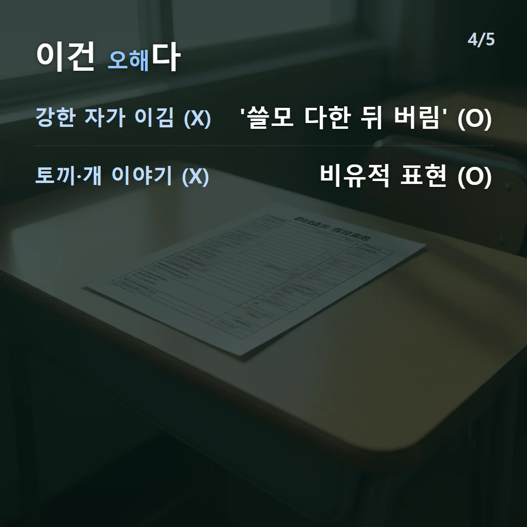 이건 오해다 — 강한 자가 이김 (X) '쓸모 다한 뒤 버림' (O), 토끼·개 이야기 (X) 비유적 표현 (O)