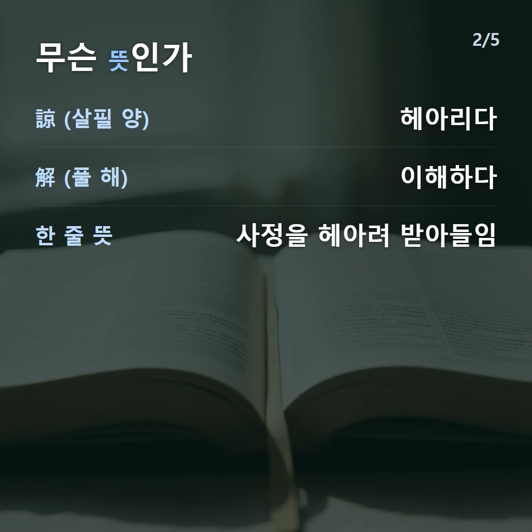 무슨 뜻인가 — 諒 (살필 양) 헤아리다, 解 (풀 해) 이해하다, 한 줄 뜻 사정을 헤아려 받아들임