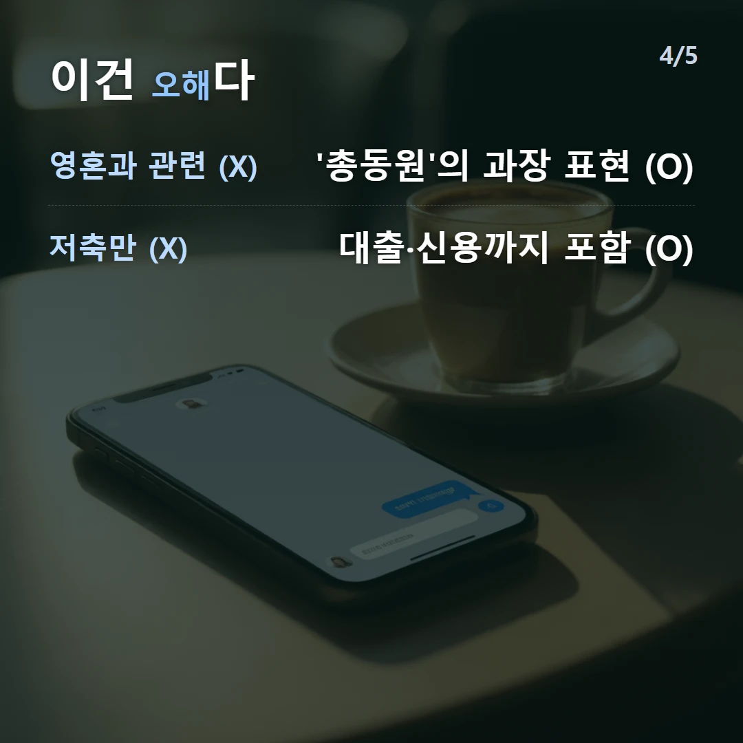 이건 오해다 — 영혼과 관련 (X) '총동원'의 과장 표현 (O), 저축만 (X) 대출·신용까지 포함 (O)
