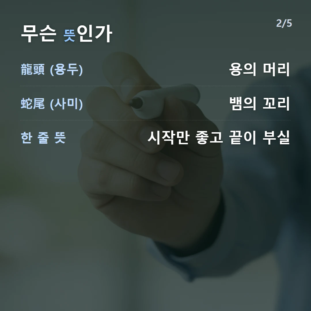 무슨 뜻인가 — 龍頭 (용두) 용의 머리, 蛇尾 (사미) 뱀의 꼬리, 한 줄 뜻 시작만 좋고 끝이 부실