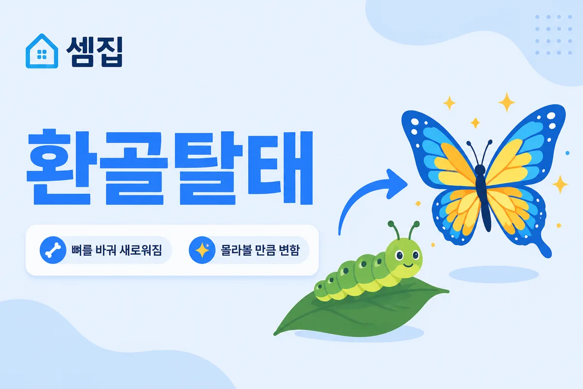 환골탈태 뜻 — 뼈를 바꾸고 태를 벗어 새로워지다